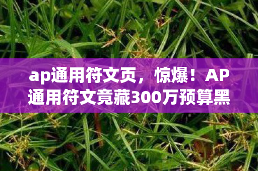 ap通用符文页，惊爆！AP通用符文竟藏300万预算黑洞，内部争吵细节吓你一跳！