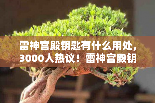 雷神宫殿钥匙有什么用处,3000人热议!雷神宫殿钥匙竟藏惊天疑点?老炮,这波我直接绷不住! 雷神宫殿钥匙有什么用处,3000人热议!雷神宫殿钥匙竟藏惊天疑点?老炮,这波我直接绷不住!