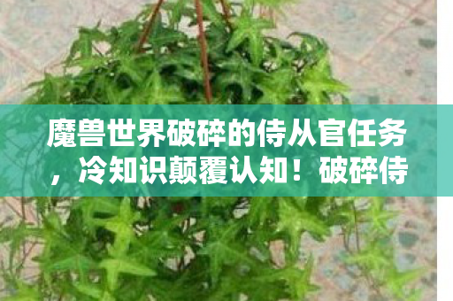 魔兽世界破碎的侍从官任务,冷知识颠覆认知!破碎侍从官背后,竟藏目瞪口呆的隐形炸弹 魔兽世界破碎的侍从官任务,冷知识颠覆认知!破碎侍从官背后,竟藏目瞪口呆的隐形炸弹