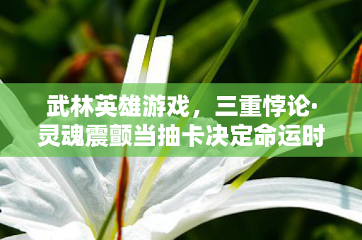 武林英雄游戏，三重悖论·灵魂震颤当抽卡决定命运时，谁在操控自由的提线木偶？