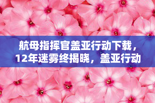 航母指挥官盖亚行动下载,12年迷雾终揭晓,盖亚行动的沉舰与未亡人泪目 航母指挥官盖亚行动下载,12年迷雾终揭晓,盖亚行动的沉舰与未亡人泪目