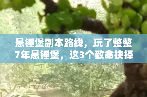 悬锤堡副本路线，玩了整整7年悬锤堡，这3个致命抉择让我夜不能寐！