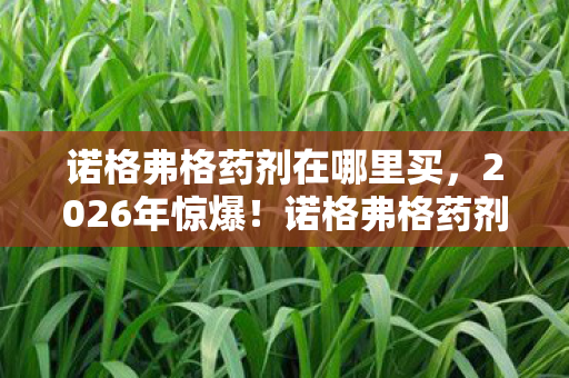 诺格弗格药剂在哪里买,2026年惊爆!诺格弗格药剂3大隐秘购买地,第3个颠覆想象! 诺格弗格药剂在哪里买,2026年惊爆!诺格弗格药剂3大隐秘购买地,第3个颠覆想象!