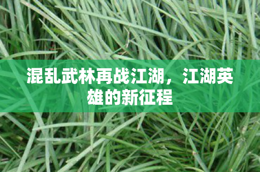 混乱武林再战江湖图片