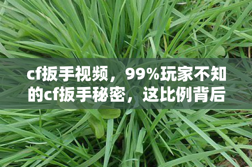 cf扳手视频，99%玩家不知的cf扳手秘密，这比例背后藏着多少扎心真相？
