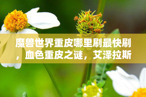 魔兽世界重皮哪里刷最快刷,血色重皮之谜,艾泽拉斯悬案,凶手竟是我的亡魂? 魔兽世界重皮哪里刷最快刷,血色重皮之谜,艾泽拉斯悬案,凶手竟是我的亡魂?