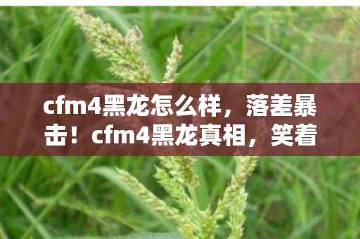 cfm4黑龙怎么样,落差暴击!cfm4黑龙真相,笑着骂它狗,哭着充首充 cfm4黑龙怎么样,落差暴击!cfm4黑龙真相,笑着骂它狗,哭着充首充