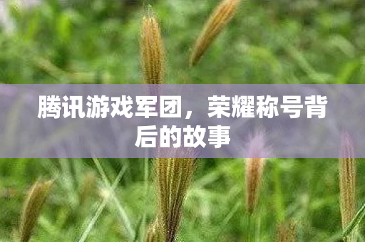 荣耀称号背后的故事图片