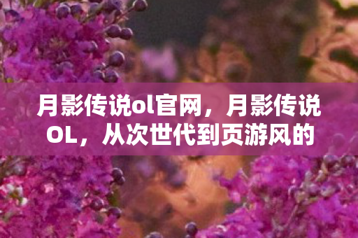 月影传说ol官网，月影传说OL，从次世代到页游风的落差真相，笑着笑着就哭了