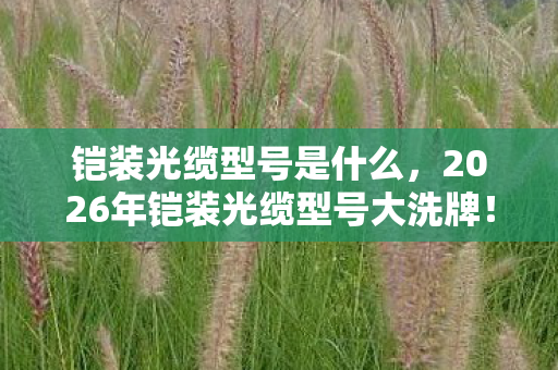 铠装光缆型号是什么,2026年铠装光缆型号大洗牌!这3款新秀能否颠覆行业格局? 铠装光缆型号是什么,2026年铠装光缆型号大洗牌!这3款新秀能否颠覆行业格局?