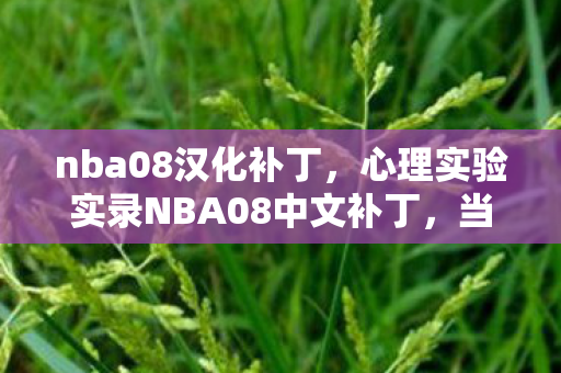nba08汉化补丁,心理实验实录NBA08中文补丁,当游戏沉迷遇上细思极恐的神经操控 nba08汉化补丁,心理实验实录NBA08中文补丁,当游戏沉迷遇上细思极恐的神经操控