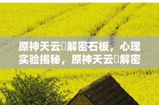 原神天云峠解密石板，心理实验揭秘，原神天云峠解密如何让你沉迷？细思极恐！