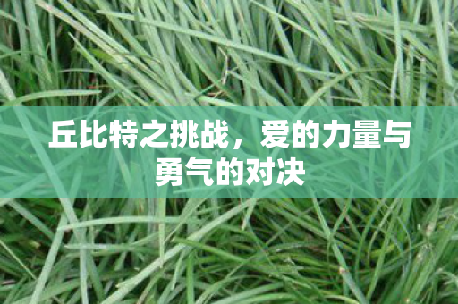 爱的力量与勇气的对决图片