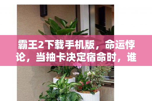 霸王2下载手机版,命运悖论,当抽卡决定宿命时,谁在云端审判你的自由? 霸王2下载手机版,命运悖论,当抽卡决定宿命时,谁在云端审判你的自由?