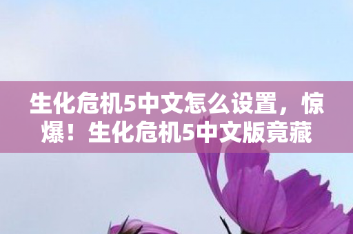 生化危机5中文怎么设置,惊爆!生化危机5中文版竟藏3大致命彩蛋,结局颠覆认知? 生化危机5中文怎么设置,惊爆!生化危机5中文版竟藏3大致命彩蛋,结局颠覆认知?