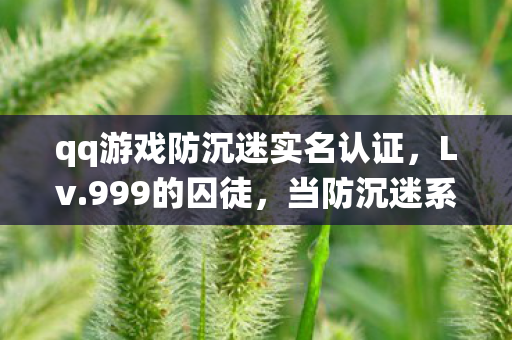 qq游戏防沉迷实名认证，Lv.999的囚徒，当防沉迷系统成为人生终极BOSS