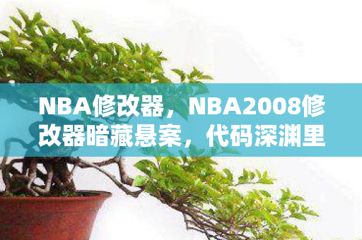NBA修改器，NBA2008修改器暗藏悬案，代码深渊里的毛骨悚然线索