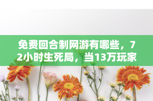 免费回合制网游有哪些,72小时生死局,当13万玩家在谜题里集体猝死,开发者却说这是最温柔的结局 免费回合制网游有哪些,72小时生死局,当13万玩家在谜题里集体猝死,开发者却说这是最温柔的结局