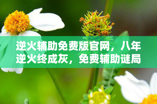 逆火辅助免费版官网,八年逆火终成灰,免费辅助谜局里,泪目竟是最后彩蛋 逆火辅助免费版官网,八年逆火终成灰,免费辅助谜局里,泪目竟是最后彩蛋