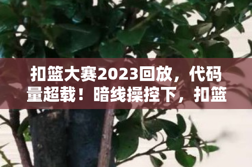 扣篮大赛2023回放,代码量超载!暗线操控下,扣篮大赛让观众集体头皮发麻 扣篮大赛2023回放,代码量超载!暗线操控下,扣篮大赛让观众集体头皮发麻