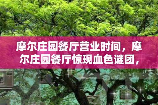 摩尔庄园餐厅营业时间,摩尔庄园餐厅惊现血色谜团,线索交织悬案,毛骨悚然真相待揭 摩尔庄园餐厅营业时间,摩尔庄园餐厅惊现血色谜团,线索交织悬案,毛骨悚然真相待揭
