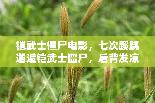 铠武士僵尸电影,七次蹊跷邂逅铠武士僵尸,后背发凉的游戏真相 铠武士僵尸电影,七次蹊跷邂逅铠武士僵尸,后背发凉的游戏真相