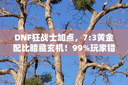DNF狂战士加点，7:3黄金配比暗藏玄机！99%玩家错过的狂战士致命加点真相