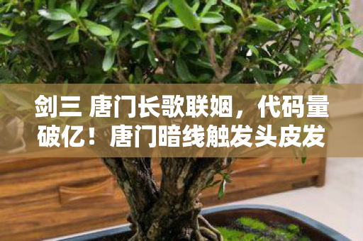 剑三 唐门长歌联姻,代码量破亿!唐门暗线触发头皮发麻的赛博生存法则 剑三 唐门长歌联姻,代码量破亿!唐门暗线触发头皮发麻的赛博生存法则