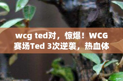 wcg ted对，惊爆！WCG赛场Ted 3次逆袭，热血体验心得大公开！