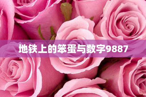 地铁上的笨蛋与数字9887图片