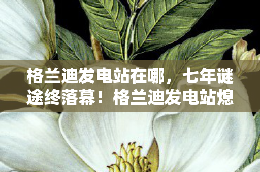格兰迪发电站在哪，七年谜途终落幕！格兰迪发电站熄火瞬间，泪目见证