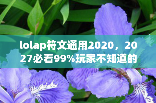 lolap符文通用2020,2027必看99%玩家不知道的AP符文新套路!亲测上分快到窒息 lolap符文通用2020,2027必看99%玩家不知道的AP符文新套路!亲测上分快到窒息