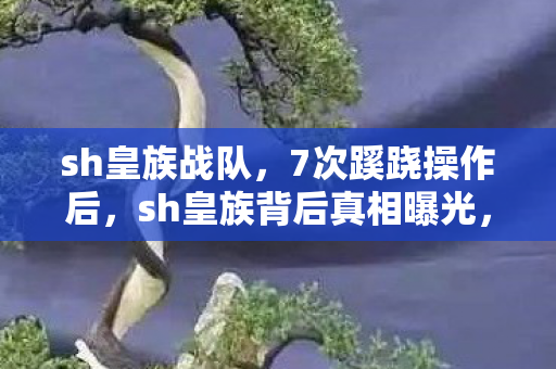sh皇族战队,7次蹊跷操作后,sh皇族背后真相曝光,玩家后背发凉! sh皇族战队,7次蹊跷操作后,sh皇族背后真相曝光,玩家后背发凉!
