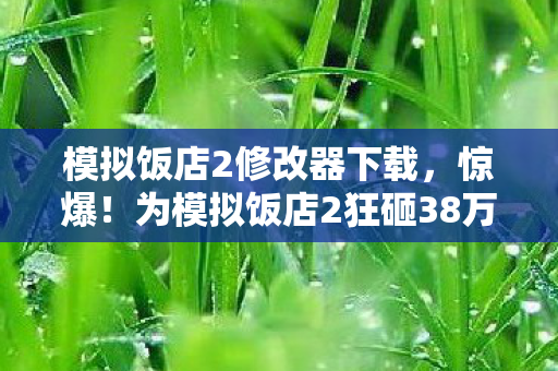 模拟饭店2修改器下载，惊爆！为模拟饭店2狂砸38万，老婆签离婚协议时我才吓一跳！