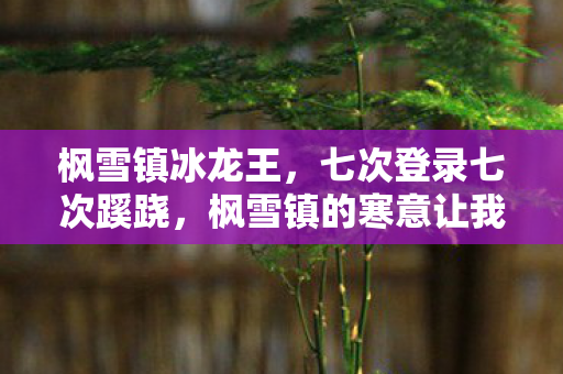 枫雪镇冰龙王,七次登录七次蹊跷,枫雪镇的寒意让我后背发凉 枫雪镇冰龙王,七次登录七次蹊跷,枫雪镇的寒意让我后背发凉
