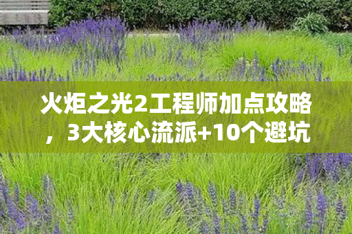 火炬之光2工程师加点攻略，3大核心流派+10个避坑雷区工程师加点全攻略，从萌新到大神的蜕变之路