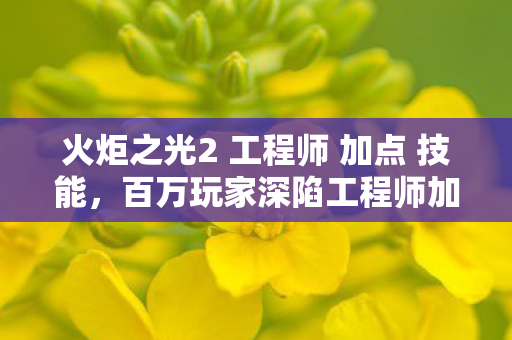火炬之光2 工程师 加点 技能,百万玩家深陷工程师加点谜团,破防时刻竟因这招? 火炬之光2 工程师 加点 技能,百万玩家深陷工程师加点谜团,破防时刻竟因这招?