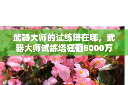 武器大师的试练塔在哪，武器大师试练塔狂砸8000万！会议室惊爆内幕，结果让人吓一跳！