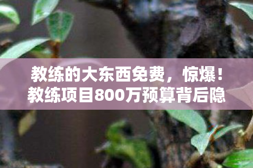 教练的大东西免费，惊爆！教练项目800万预算背后隐情，结果让人吓一跳！