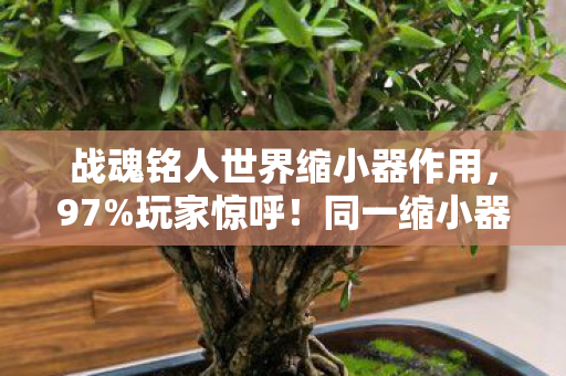 战魂铭人世界缩小器作用，97%玩家惊呼！同一缩小器竟让手游/端游/主机体验差出银河系