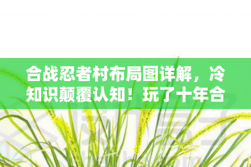 合战忍者村布局图详解,冷知识颠覆认知!玩了十年合战忍者村,我竟目瞪口呆成新手 合战忍者村布局图详解,冷知识颠覆认知!玩了十年合战忍者村,我竟目瞪口呆成新手