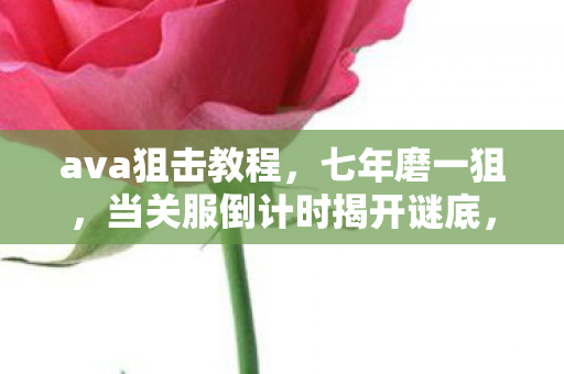 ava狙击教程,七年磨一狙,当关服倒计时揭开谜底,泪目竟是无人知晓的真相 ava狙击教程,七年磨一狙,当关服倒计时揭开谜底,泪目竟是无人知晓的真相