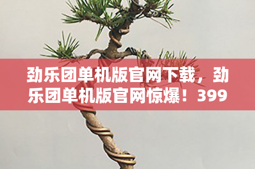 劲乐团单机版官网下载,劲乐团单机版官网惊爆!399元背后隐情曝光,真相让人吓一跳! 劲乐团单机版官网下载,劲乐团单机版官网惊爆!399元背后隐情曝光,真相让人吓一跳!