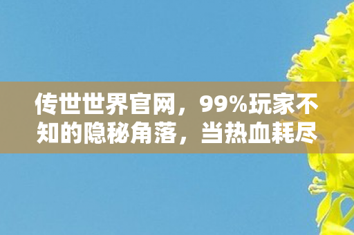 传世世界官网，99%玩家不知的隐秘角落，当热血耗尽，谁在传世sf里独自清醒？