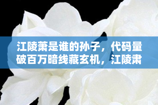 江陵萧是谁的孙子,代码量破百万暗线藏玄机,江陵肃身份揭晓令人头皮发麻 江陵萧是谁的孙子,代码量破百万暗线藏玄机,江陵肃身份揭晓令人头皮发麻