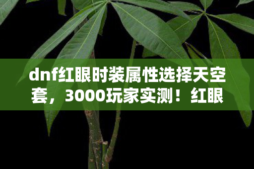 dnf红眼时装属性选择天空套,3000玩家实测!红眼时装属性选错竟成泪点?网吧大神绷不住了 dnf红眼时装属性选择天空套,3000玩家实测!红眼时装属性选错竟成泪点?网吧大神绷不住了