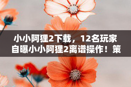 小小阿狸2下载，12名玩家自曝小小阿狸2离谱操作！策划看了都绷不住的真相
