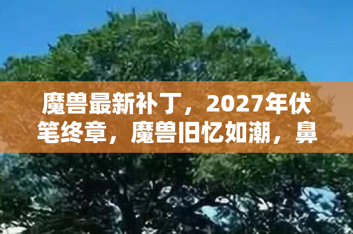 魔兽最新补丁，2027年伏笔终章，魔兽旧忆如潮，鼻子一酸删号难舍