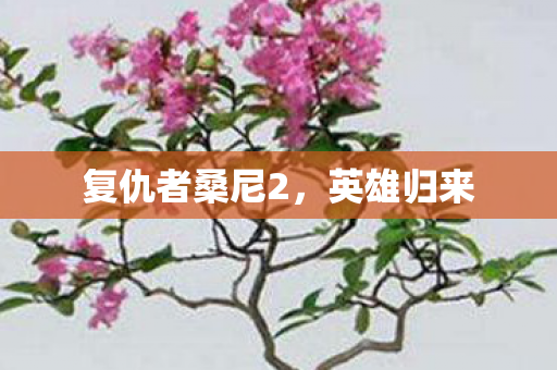 复仇者桑尼2图片