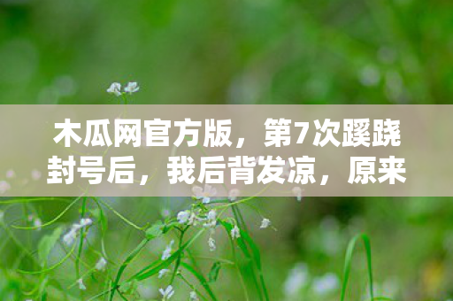 木瓜网官方版，第7次蹊跷封号后，我后背发凉，原来我才是被游戏玩透的提线木偶